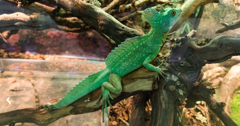 veterinarians Bourne, MA veterinarians Bourne, MA