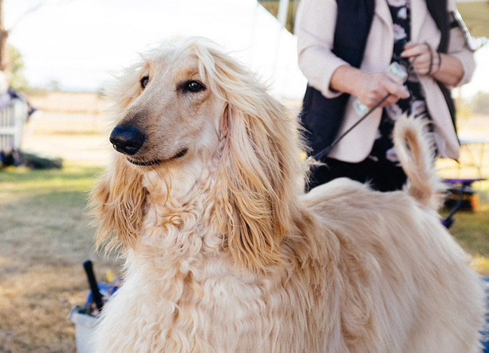  veterinary clinic Tampa FL