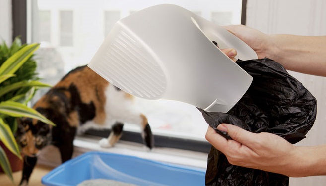 veterinary hospital Folsom CA