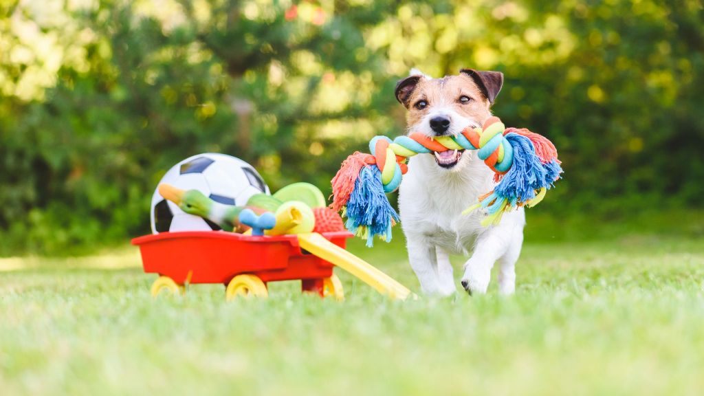 pet clinic Oconomowoc WI