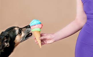 vet Hendersonville NC