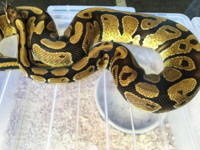 veterinary clinic Marion, IA area